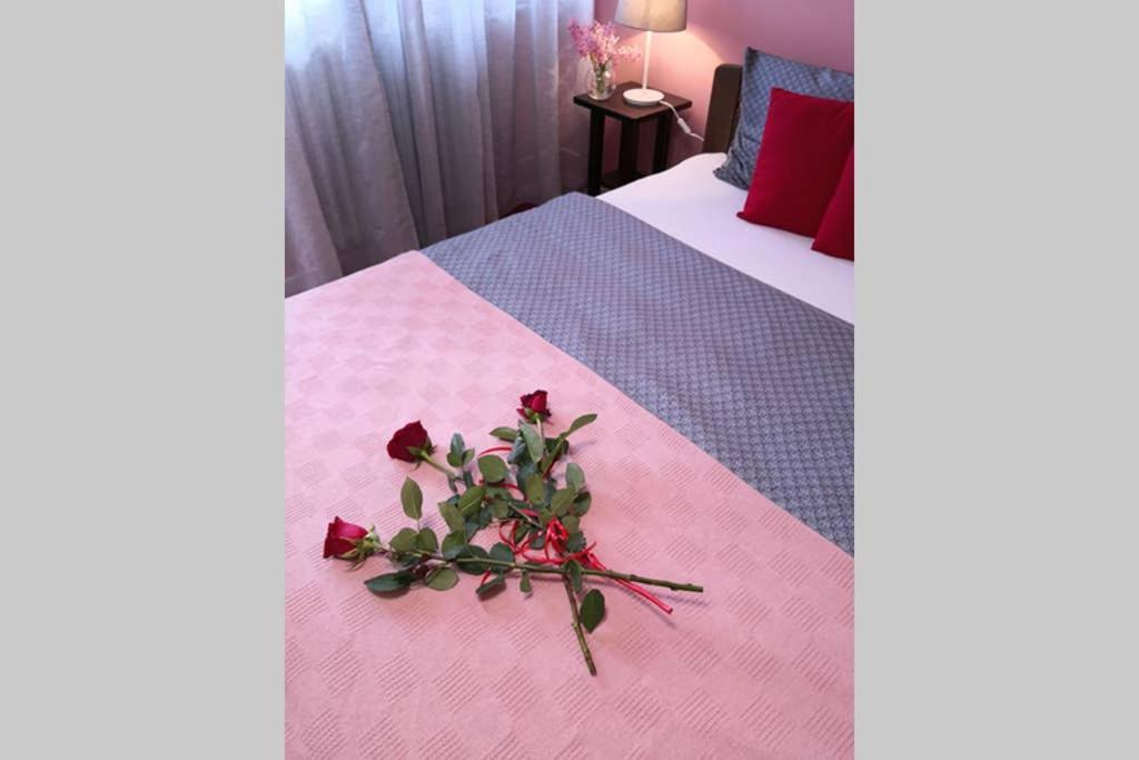 Studio Prim Belgrade Luaran gambar